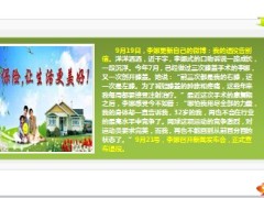 保险保障让李娜安然退役没有保险我将寸步难行7页.ppt