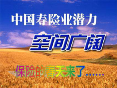 2014新版寿险意义与功用70页.ppt