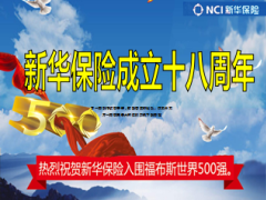 积分兑兑碰产说会主讲新华金彩一生46页.ppt