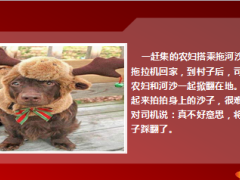 每日快乐早会14年9月26日使用13页.ppt