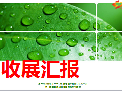 收展团队经营薄弱环节剖析汇报总结11页.ppt