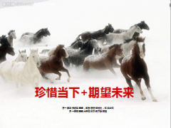 珍惜当下期望未来保险意义33页.ppt