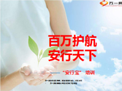 太平洋安行宝保险培训课件31页.ppt