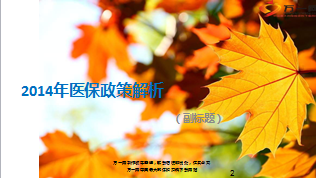 2014年医保政策解析14页.ppt