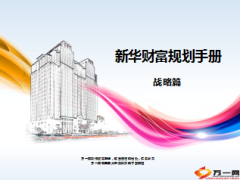 新华财富规划手册战略篇56页.ppt