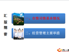 2014分公司公司个险经营管理工作汇报57页.ppt