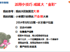 新华人寿金彩一生小技巧分享14页.ppt