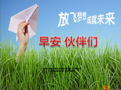 寿险早会流程7页.ppt
