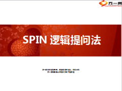 逻辑提问法SPIN39页.ppt