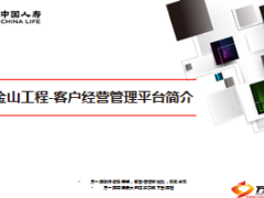 金山工程客户经营管理平台简介国寿版25页.ppt