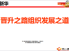 晋升之路组织发展之道新华主管分享23页.ppt