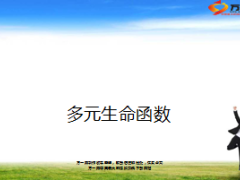 保险精算多元生命函数57页.ppt