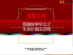 高额保单销售生命价值法训练15页.ppt