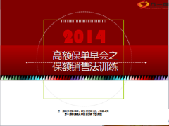 高额保单保额销售法18页.ppt