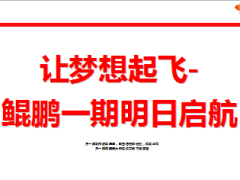 2014年四季度鲲鹏让梦想起飞13页.ppt
