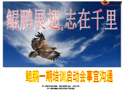 鲲鹏培训启动会事宜沟通13页.ppt