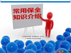 常用保全知识介绍国寿版25页.ppt