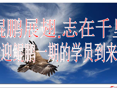 卓越经理人鲲鹏计划培训流程片60页.ppt