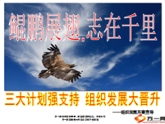 业务主任鲲鹏展翅计划宣导42页.ppt