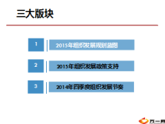 2015年组织发展规划政策支持四大工程系统36页.ppt