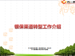 银保渠道转型工作介绍21页.ppt