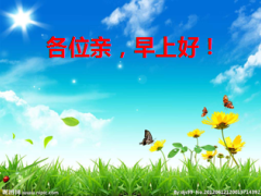 早会流程内容16页.ppt