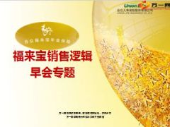 合众福来宝销售产品说明37页.ppt