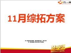 2014年中支11月综拓业务方案8页.ppt