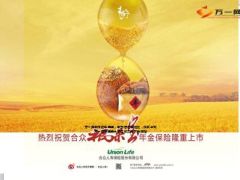 保险新产品上市推动方案合众福来宝30页.ppt