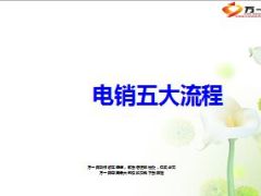 电销五大流程13页.ppt