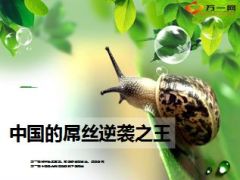 黄渤屌丝逆袭之王励志历程10页.ppt