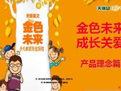 天安人寿天保盈金色未来保险理念篇20页.ppt