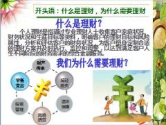 保险理财理论分析案例分析69页.ppt