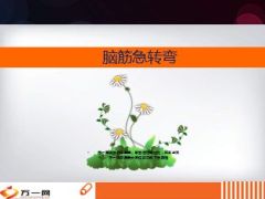 每日快乐早会14年10月24日使用脑筋急转弯12页.ppt