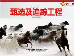 增员甄选及追踪工程各环节操作方法要点39页.ppt