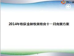 2014年收获金秋收美收官十一月竞赛方案16页.ppt