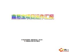 国寿鑫易宝项目运作情况汇报总结15页.ppt