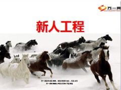 新人工程新员工培育体系8页.ppt
