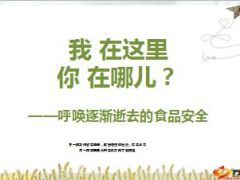 呼唤逐渐逝去食品安全13页.ppt