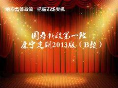 国寿康宁定期2013版B款产品背景介绍亮点讲解43页.ppt