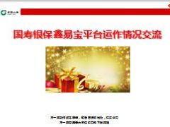 国寿银保鑫易宝平台运作情况交流16页.ppt