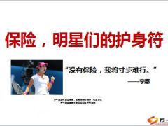 保险明星们的护身符11页.ppt