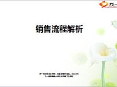 电话销售流程梳理解析16页.ppt