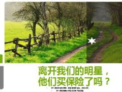 离开我们的明星他们买保险了吗12页.ppt