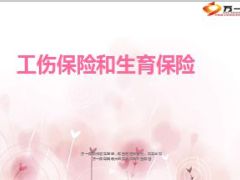工伤保险生育保险政策与实务33页.ppt
