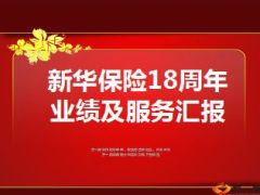 新华保险18周年业绩及服务汇报18页.ppt