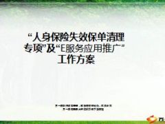 人身保险失效保单清理专项E服务应用推广工作方案16页.ppt