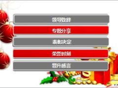 分公司季度主管晋升表彰大会流程37页.ppt