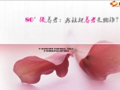 80后我把养老交给谁29页.ppt