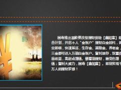 中国人寿鑫如意组合计划上市宣导11页.ppt